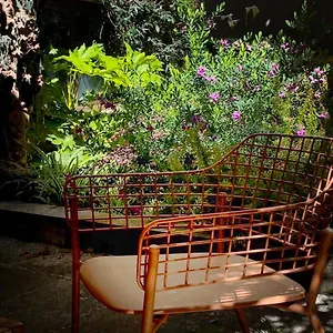 Loquat House Nel Giardino Segreto In Zona Vaticano Appartamento